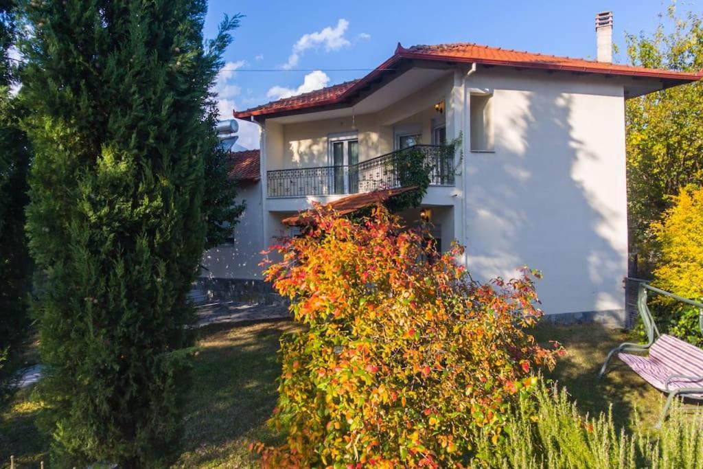 Woods Cottage Loutra Pozar Aridaia Megaplatanos Exterior foto