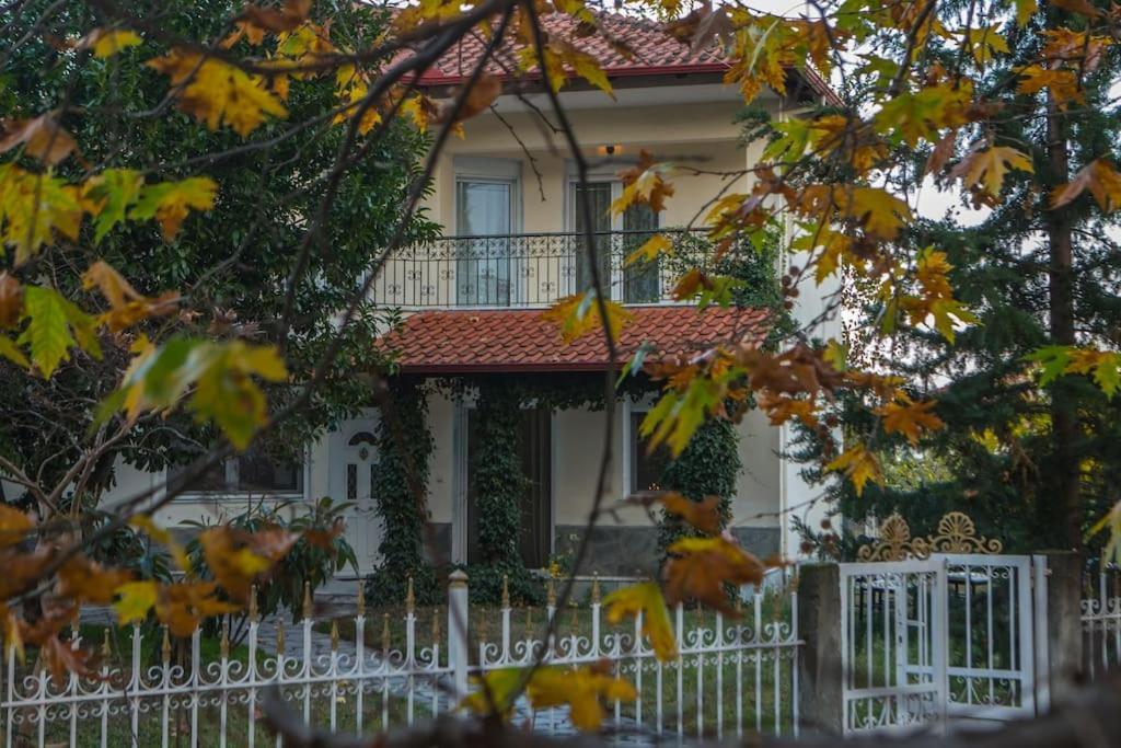 Woods Cottage Loutra Pozar Aridaia Megaplatanos Exterior foto